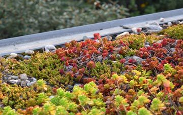 the cost of Hartford green roof installation
