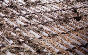 Hartford roof cleaning companies